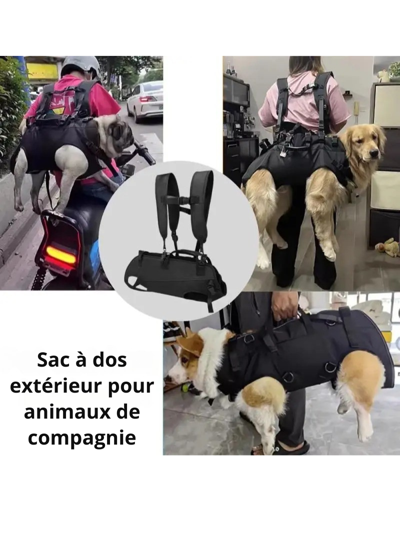 Sac à Dos de Transport ; Harnais de Levage pour Chien - Hapihom™