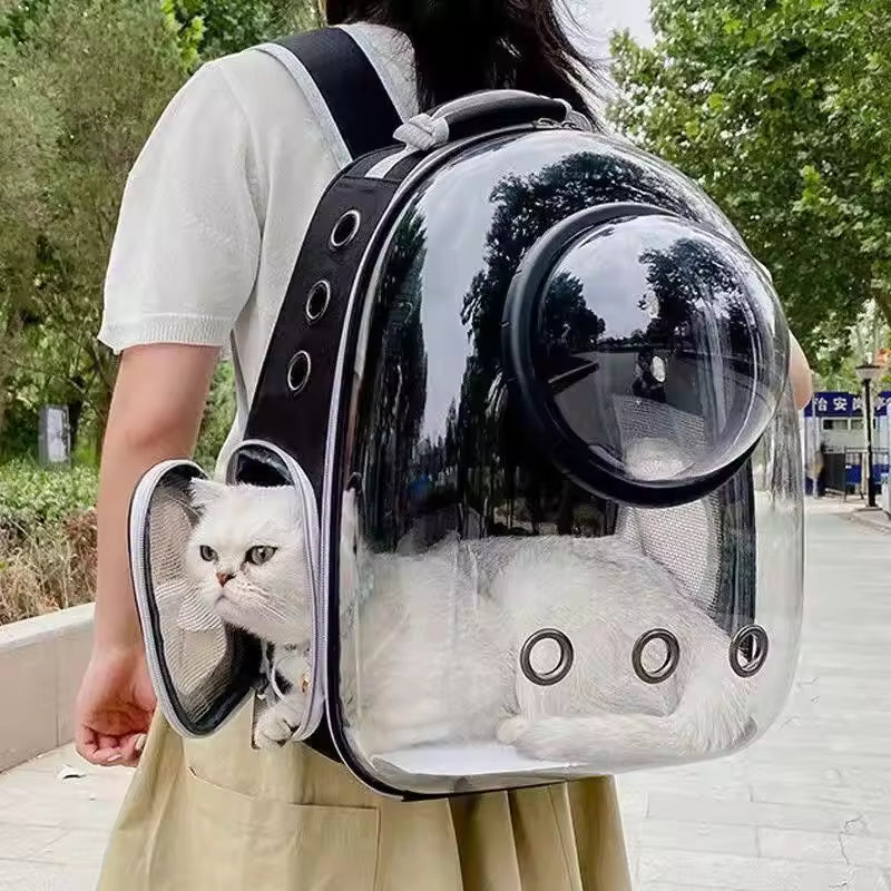 Sac à Dos Transport Chat Capsule : Hublot Panoramique, Respirant et Confortable - Bazyl™