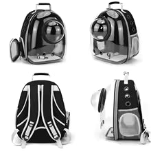 Sac à Dos Transport Chat Capsule : Hublot Panoramique, Respirant et Confortable - Bazyl™