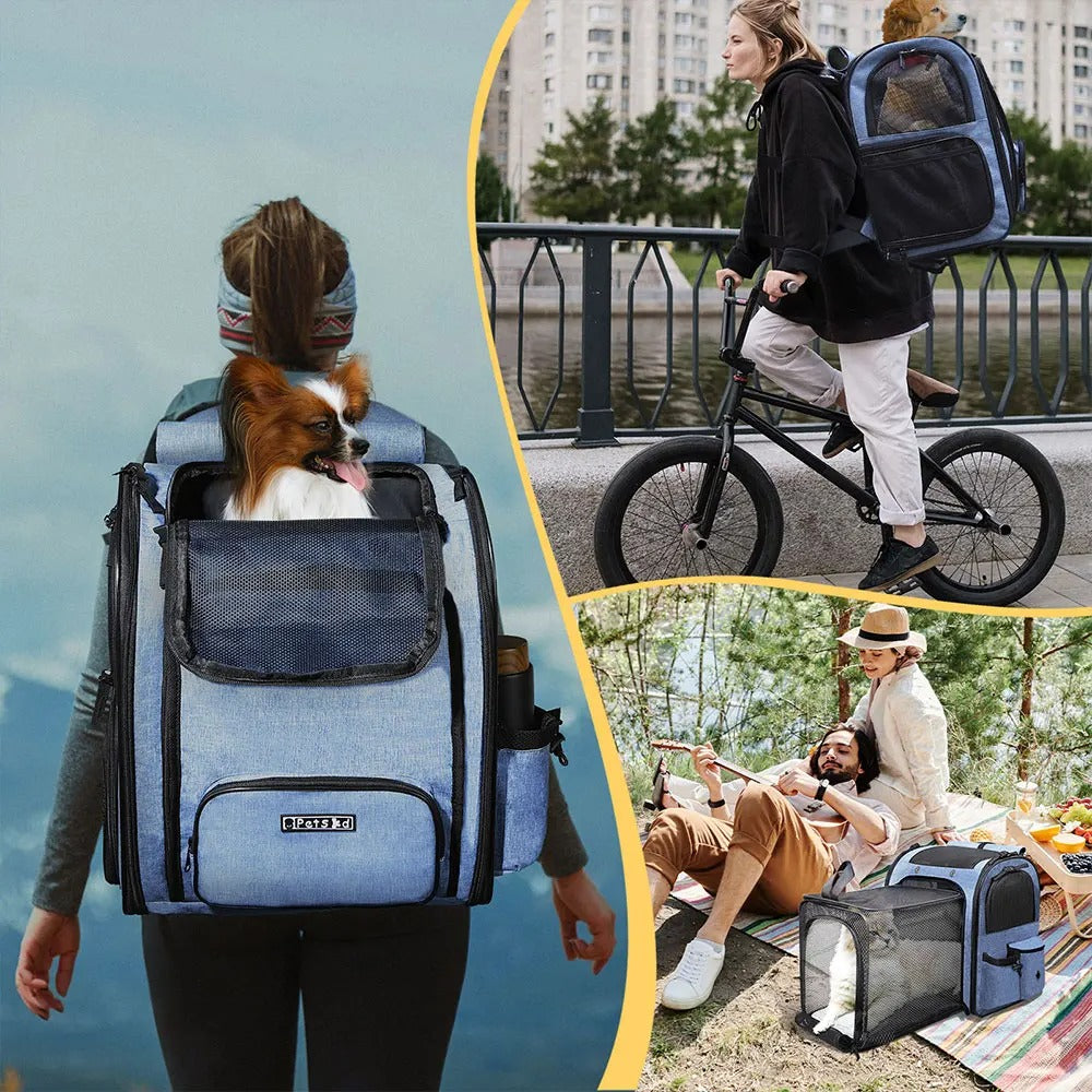 Sac à Dos Transport Chat Extensible Bleu : Lin Cationique Durable, Aéré et Pliable - Petskd™