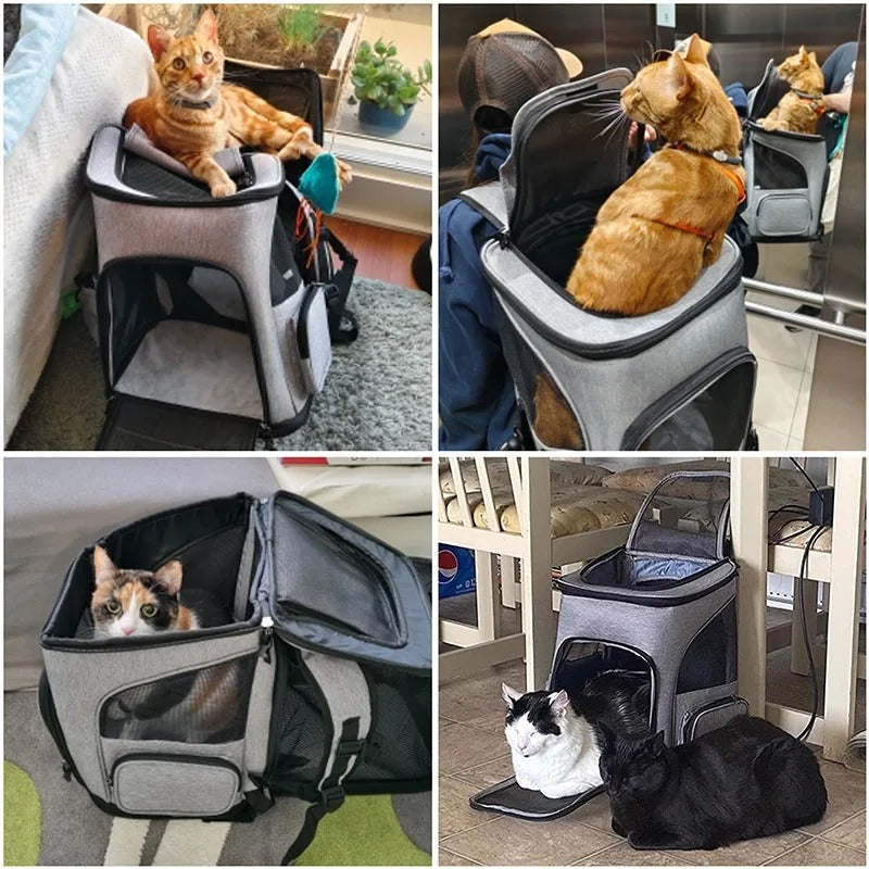 Sac à Dos Transport Chat Extensible : Lin Cationique Durable, Aéré et Pliable - Flexicat™