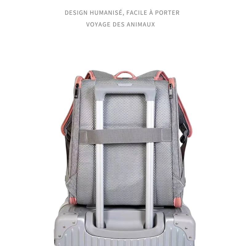 Sac à Dos Transport Chat : Voyage Avion, Pliable et Sécurisé avec Attache Valise - Nolya™