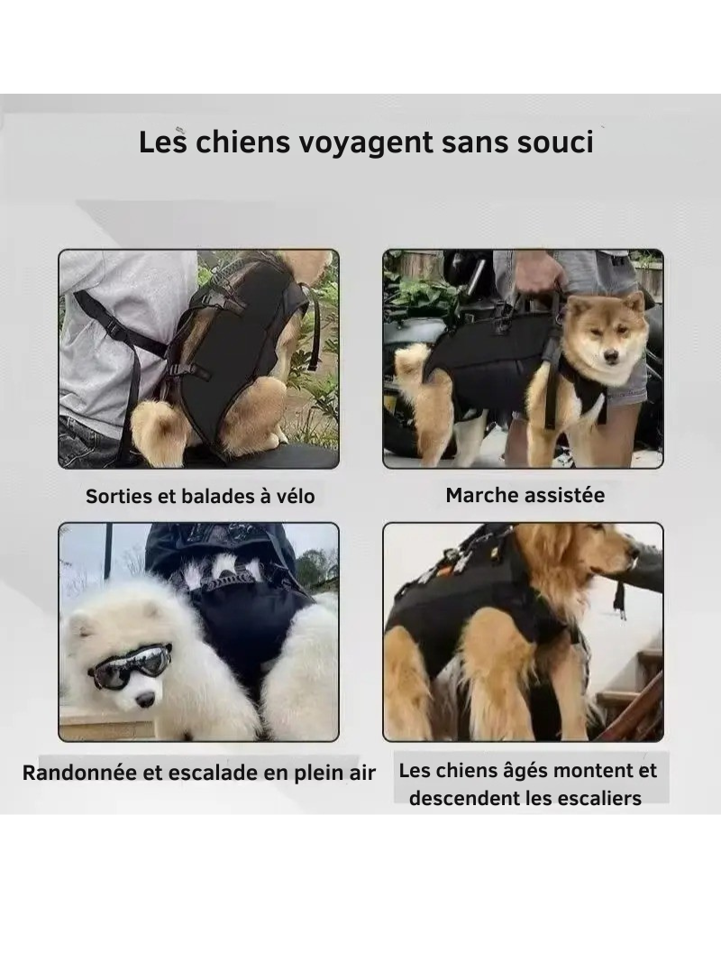 Sac à Dos de Transport ; Harnais de Levage pour Chien - Hapihom™