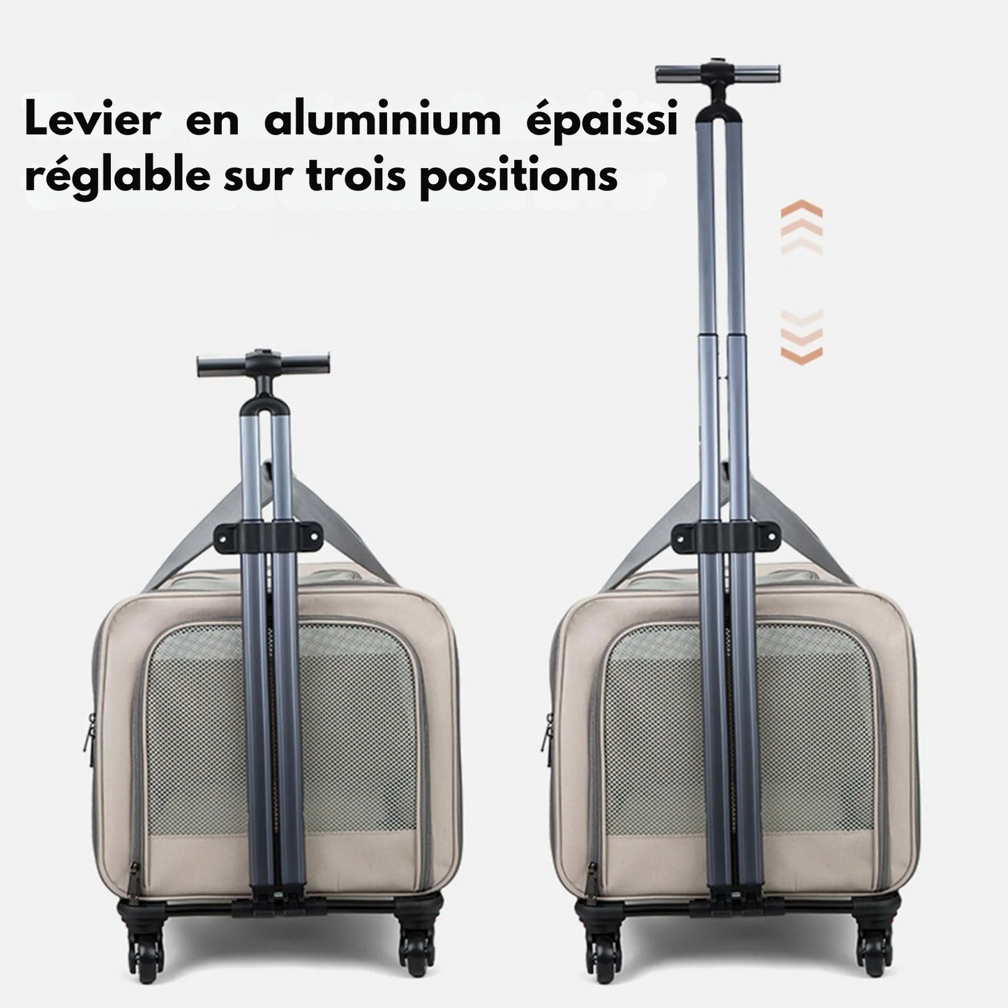 Sac de Transport Chat à Roulettes : 360°, Anti-Fuite et Transformable - Tribly™