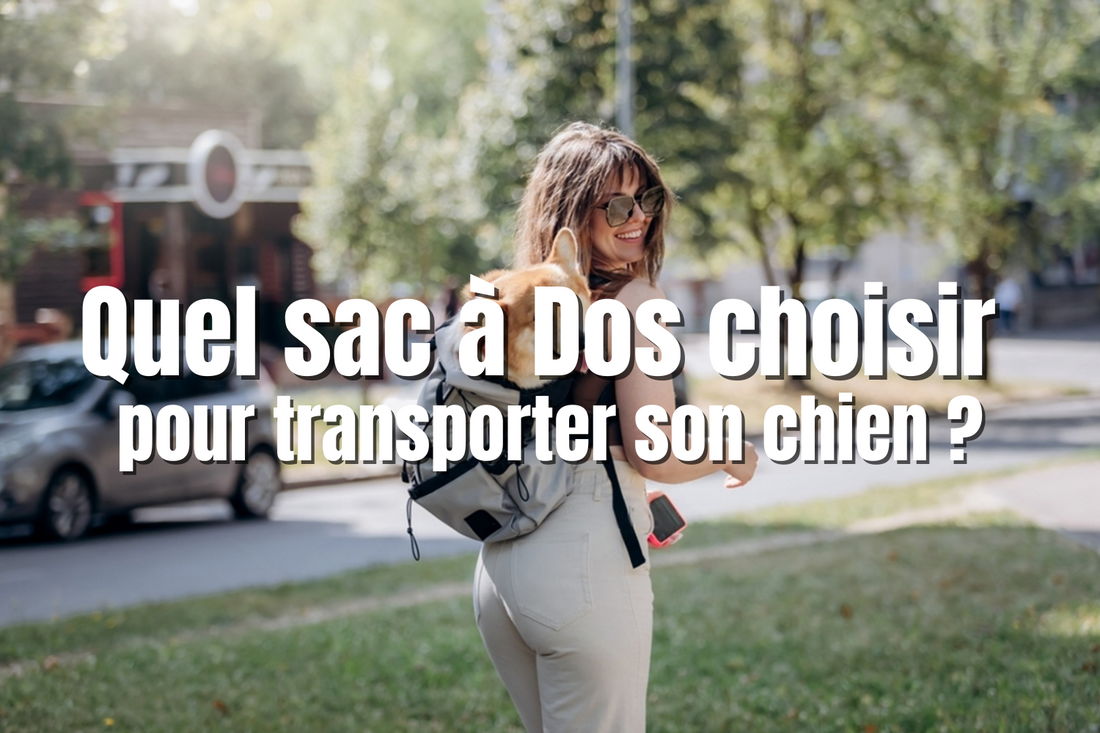 Quel sac à Dos choisir pour transporter son chien ?