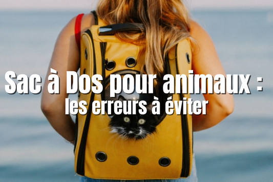 Sac à Dos pour animaux : les erreurs à éviter