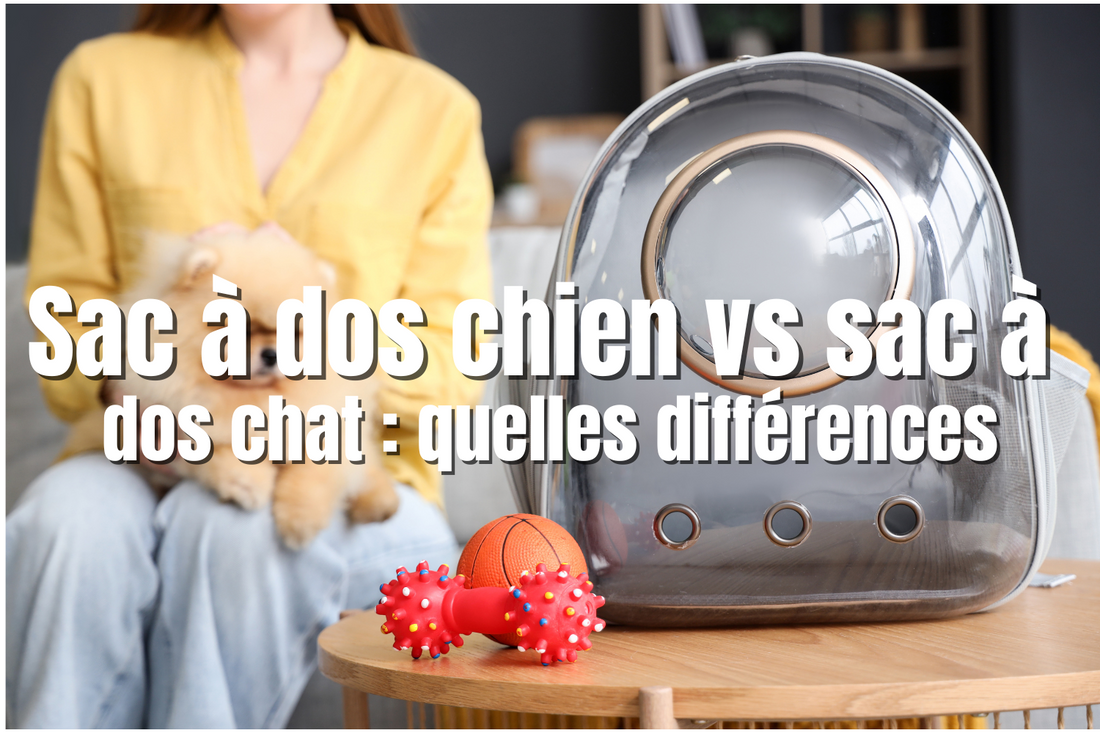 Sac à dos chien vs sac à dos chat : quelles différences