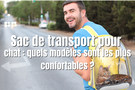 Sac de transport pour chat : quels modèles sont les plus confortables ?