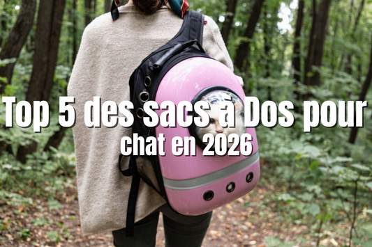 Top 5 des sacs à Dos pour chat en 2026